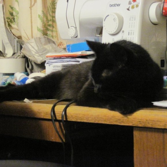 * Welcome to my Closet. Please Read! *  ~ Meet your Posher, Gina - Picture 11 of 16